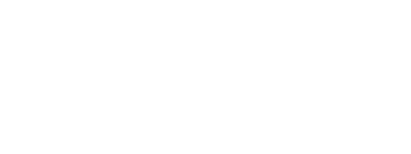 Accorg Consulting